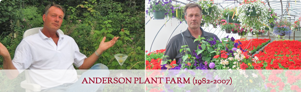 Anderson plant farm - anderson plant farm - anderson plant farm - anderson plant farm - anderson plant farm -.