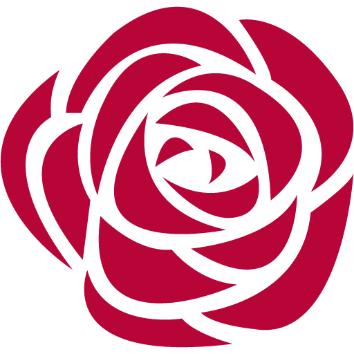 rose-512