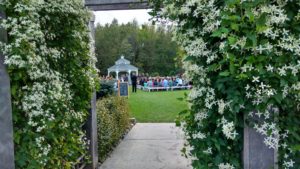 Long view of group of people at the wedding event