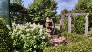 Close view of the garden in the display