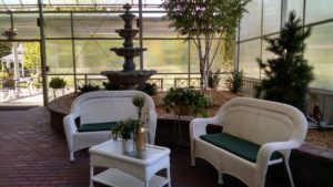 Close view of sofas and table with plants around