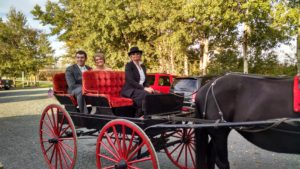 Bride and groom with other woman in horse vehicle