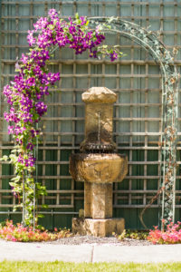 View of the decoration at the wedding