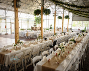 Long dining tables arranged at the wedding