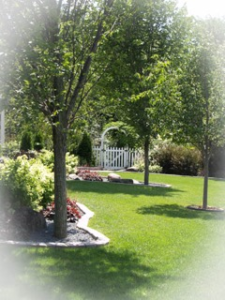 Close view of the garden on display