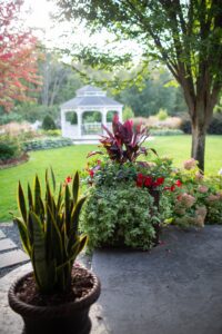 A garden with a gazebo and potted plants.