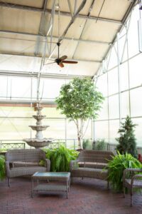 A living room in a greenhouse with plants and a fan.